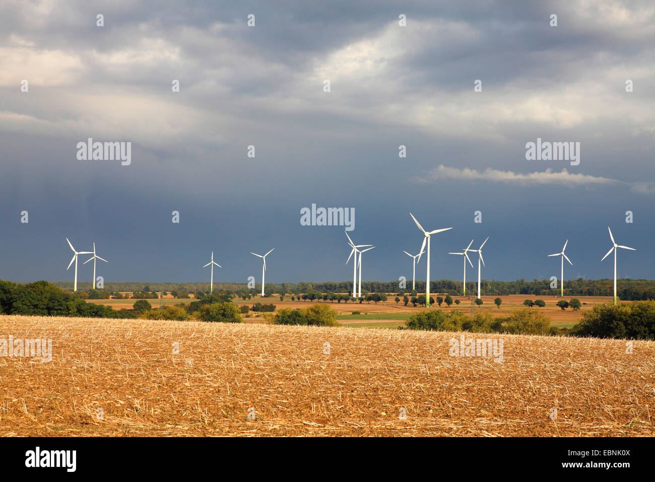 wind turbines in the Hellwegboerde, Germany, North Rhine-Westphalia Stock Photo