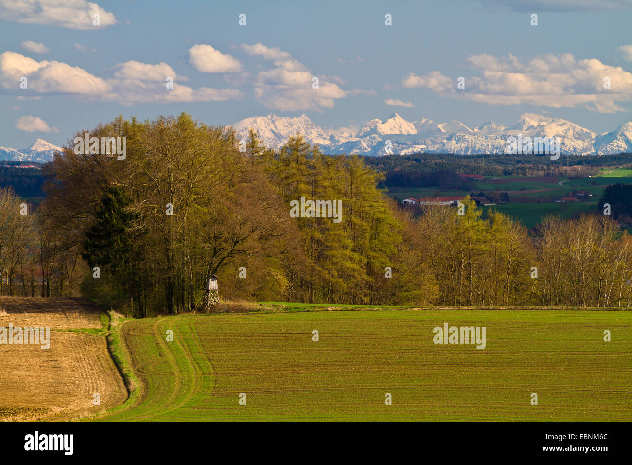 Alpine foothillls and the Alps in background, Germany, Bavaria Stock Photo