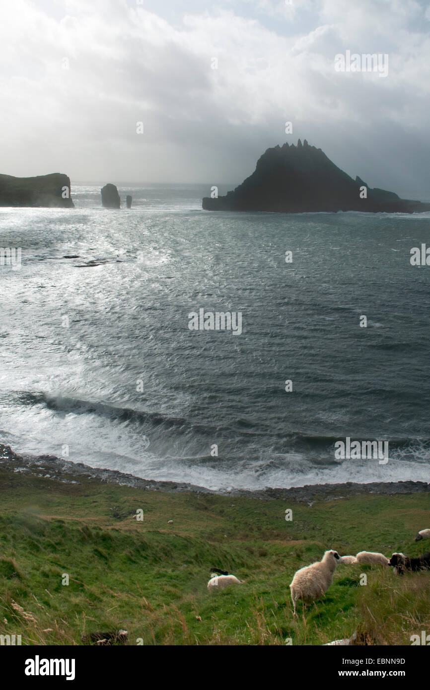 Tindhólmur islet, Vágar Island, Faroe Islands Stock Photo - Alamy