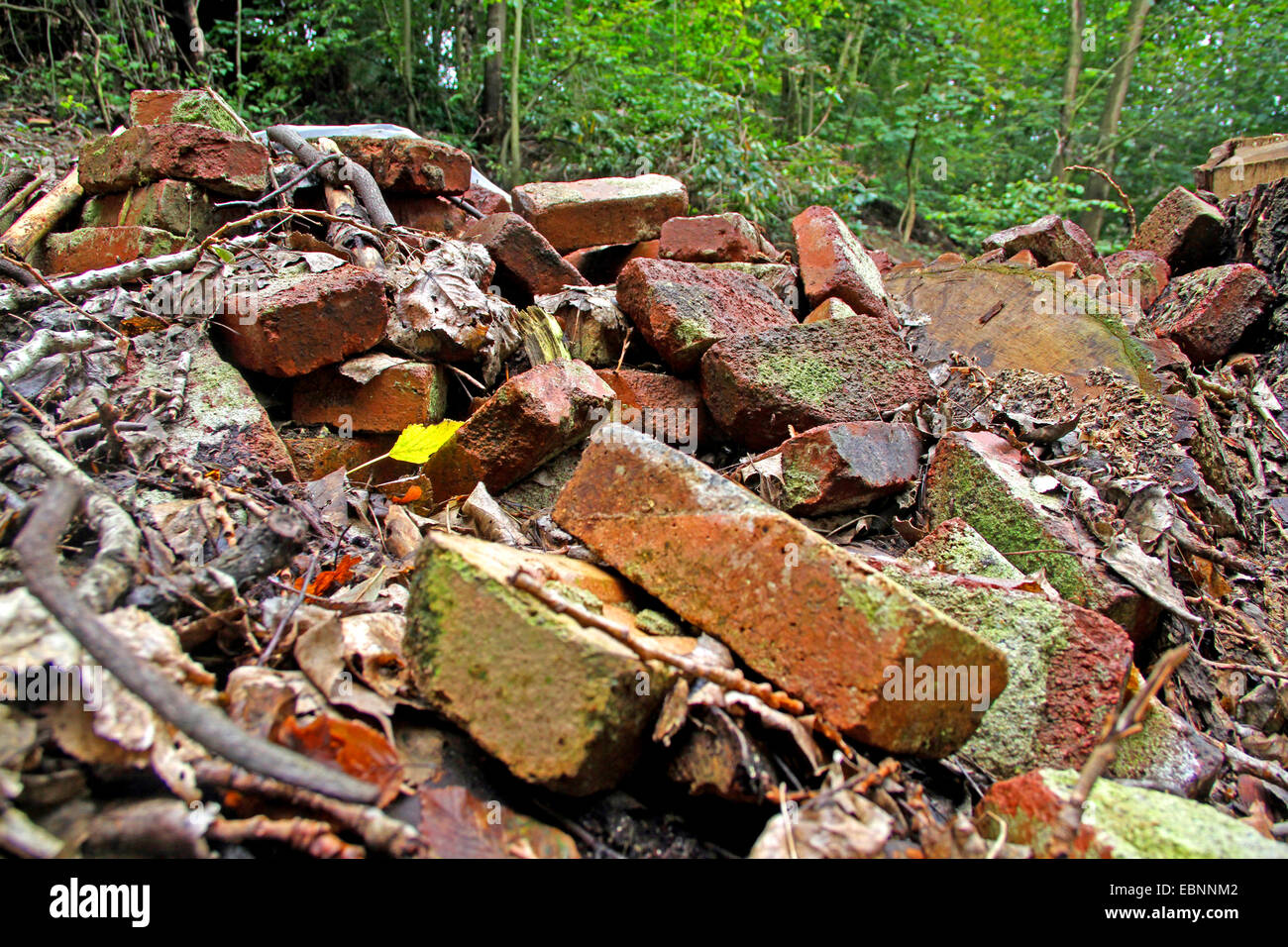 illegal construction rubble in a forest Stock Photo