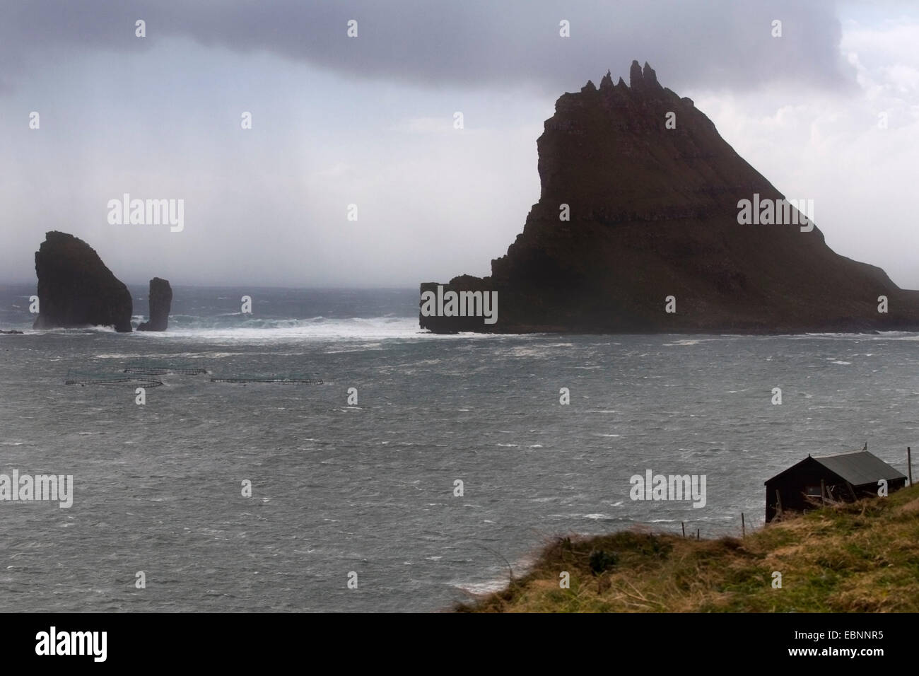 Tindhólmur islet, Vágar Island, Faroe Islands Stock Photo - Alamy