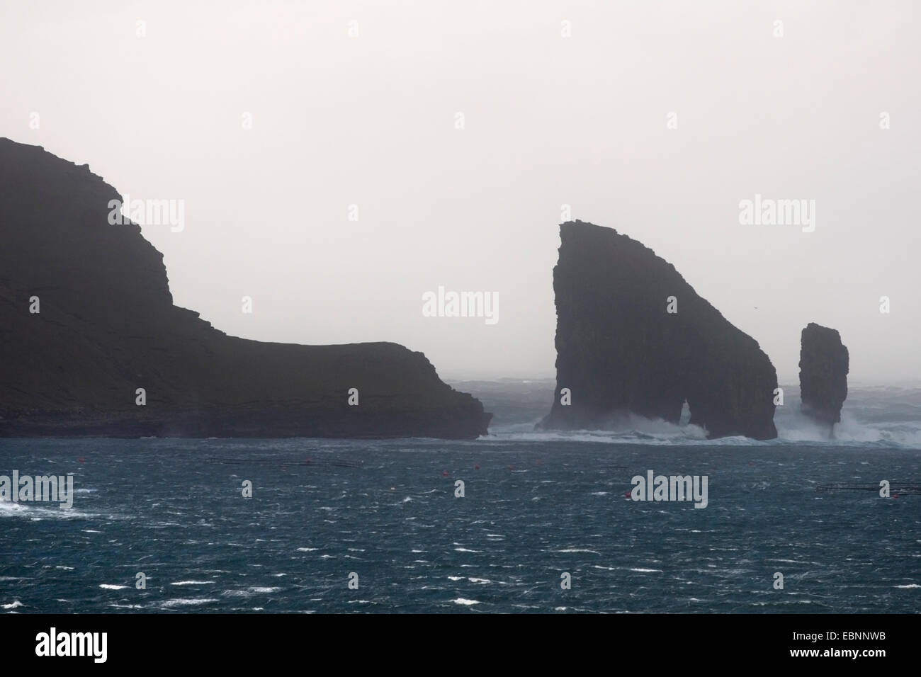 Tindhólmur islet, Vágar Island, Faroe Islands Stock Photo - Alamy