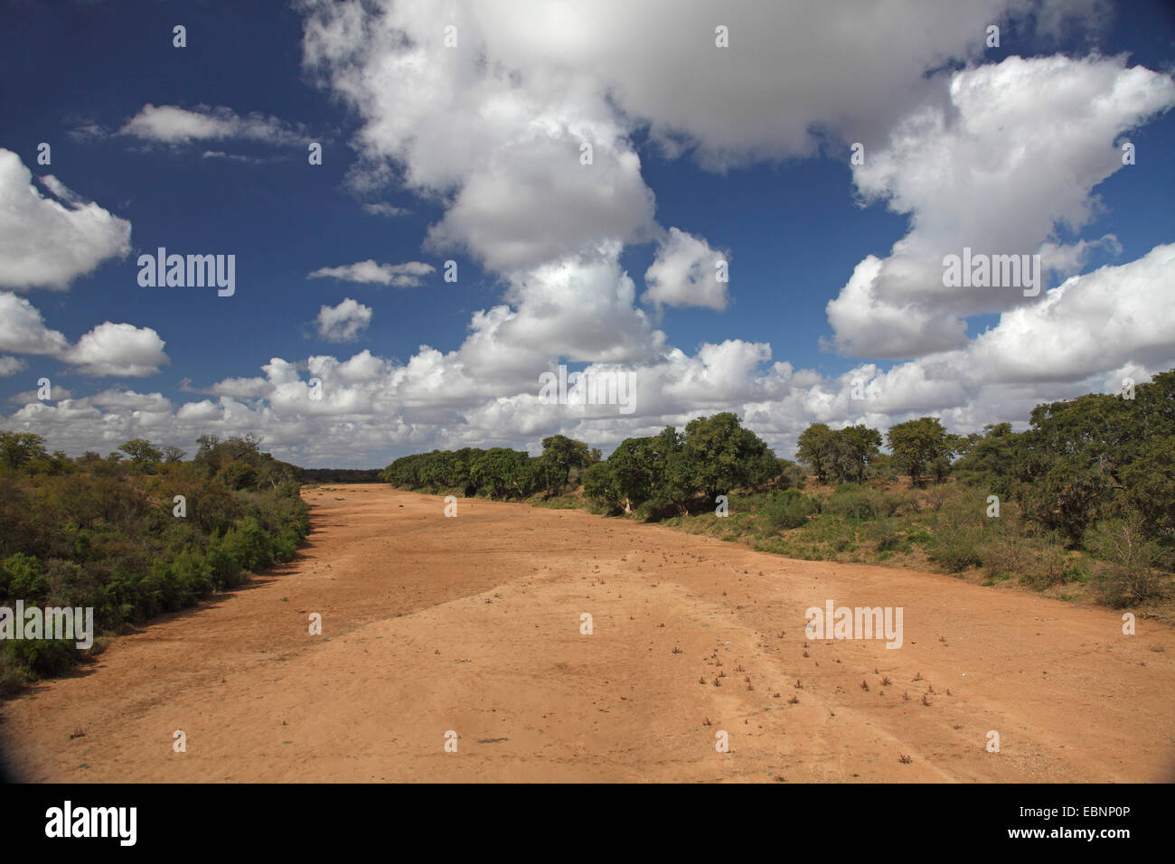 dried-out riverbed of the Mashagadzi river near Shingwedzi, South Africa, Kruger National Park Stock Photo