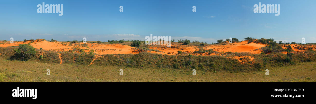 dunes in the western part of the park, panorama, South Africa, iSimangaliso Wetland Park Stock Photo