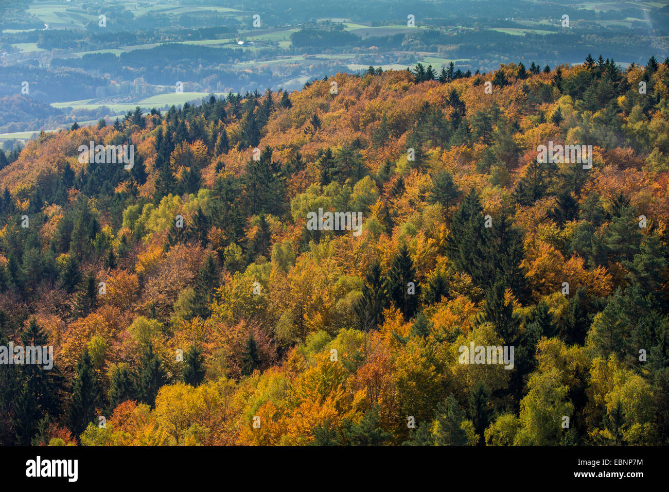 aerial view to mixed forest in autumn, Czech Republic, Boehmerwald Stock Photo