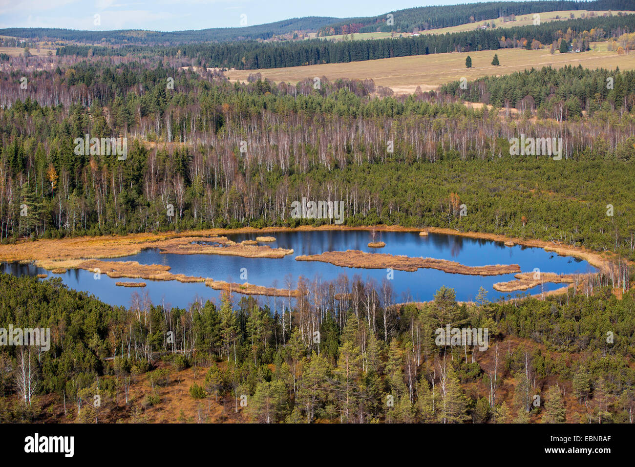 aerial view to moor pond in raised bog, Czech Republic, Sumava National Park Stock Photo