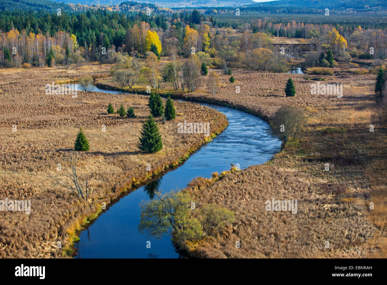 aerial view to Warme Moldau winding through autumnal raised bog, Czech Republic, Sumava National Park Stock Photo