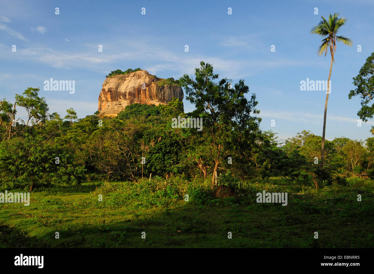 Lion's Rock Sigiriya, Sri Lanka Stock Photo