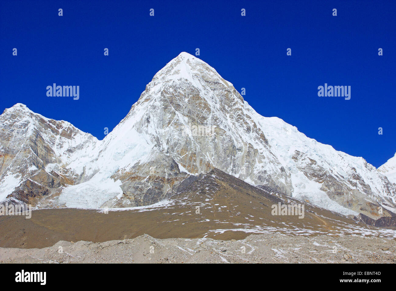 Pumorie (view near Gorak Shep), Nepal, Himalaya, Khumbu Himal Stock Photo