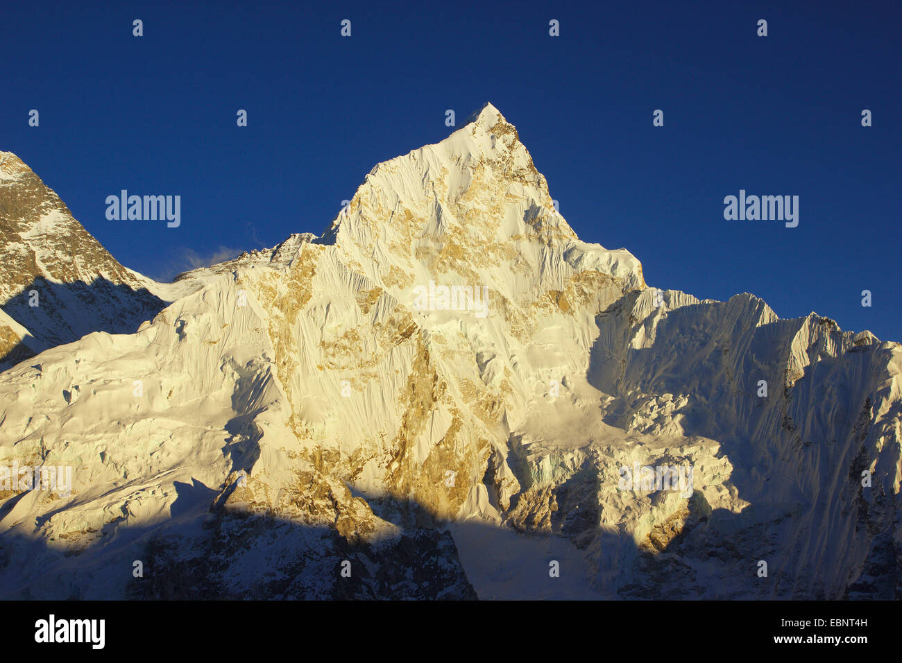 Nuptse in evening light. View from Kala Patthar, Nepal, Himalaya, Khumbu Himal Stock Photo