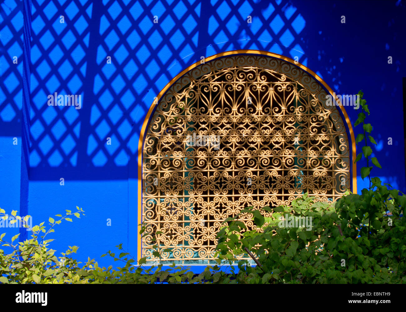 Morocco, Marrakech Jardin Majorelle, The Blue Garden. Stock Photo