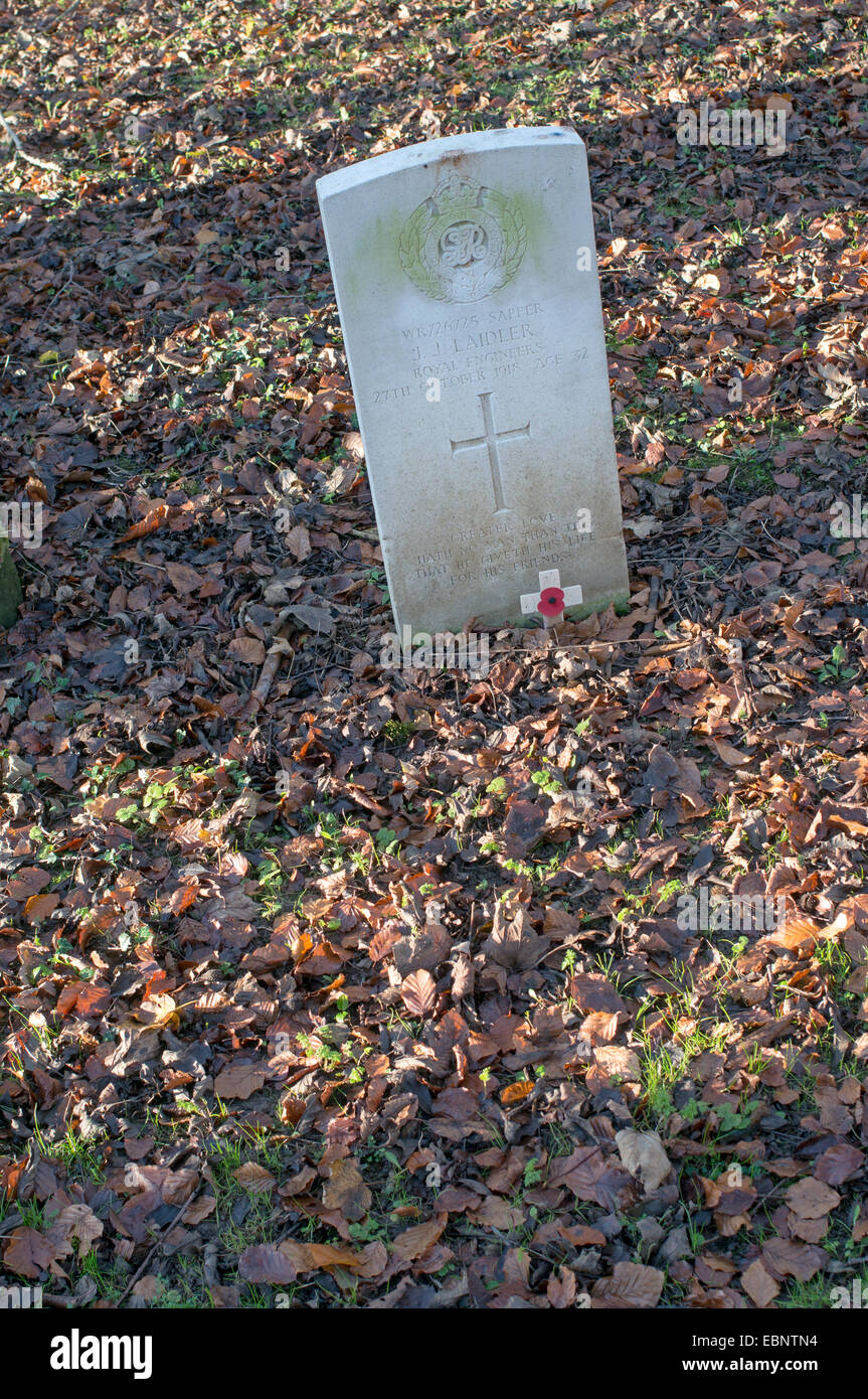 Gravestone of fallen WW1 soldier amid autumn leaves within St Mary's church yard, Shincliffe village, County Durham England, UK Stock Photo