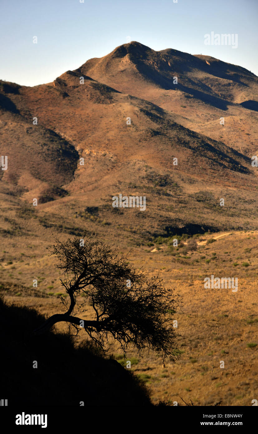 view to Naukluft Mountains, Namibia, Namib Naukluft National Park Stock Photo