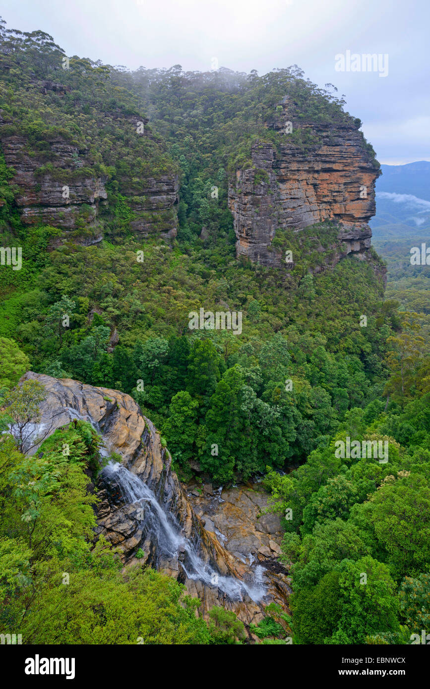 Bridal Veil Falls in the subtropical rain forest of the Blue Mountains