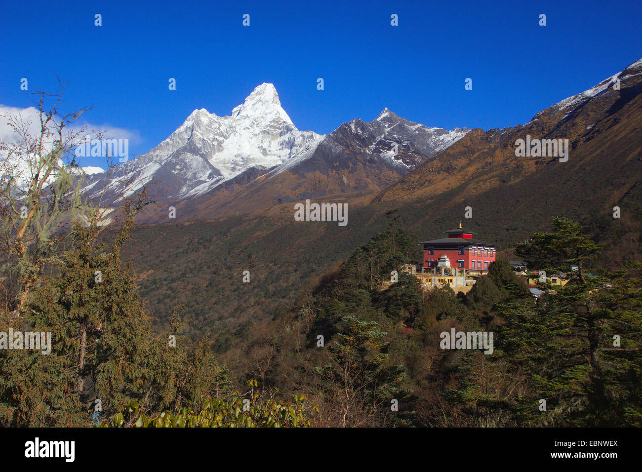 Tengboche monastery and Ama Dablam, Nepal, Himalaya, Khumbu Himal Stock Photo