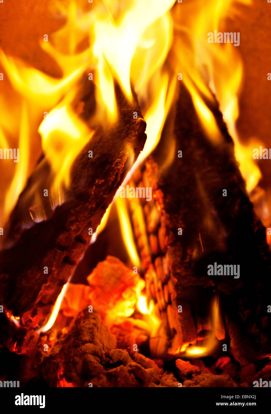 two burning logs Stock Photo