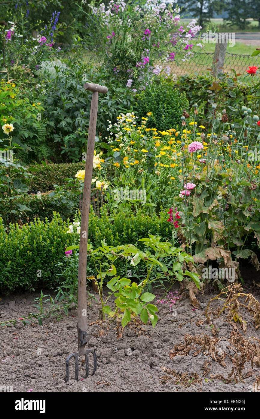 vegetable patch in a rural garden with garden fork, Germany, Lower Saxony Stock Photo