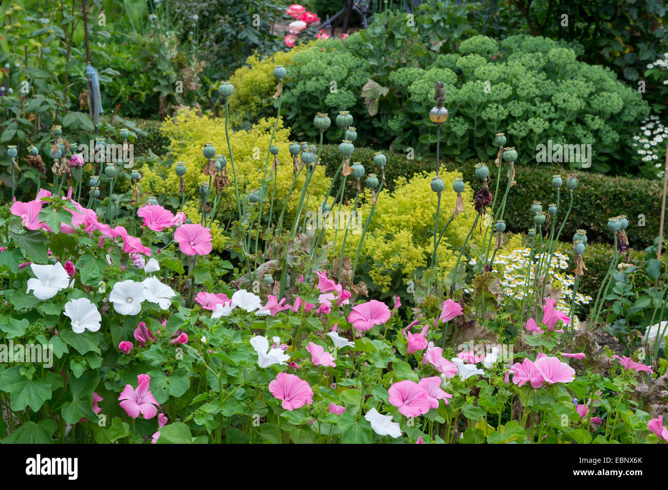 Royal mantles hi-res stock photography and images - Alamy