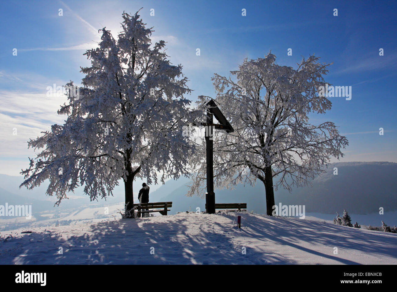 man enjoying a good view next to a field cross in winter, Germany, Baden-Wuerttemberg, NSG Haarberg Stock Photo
