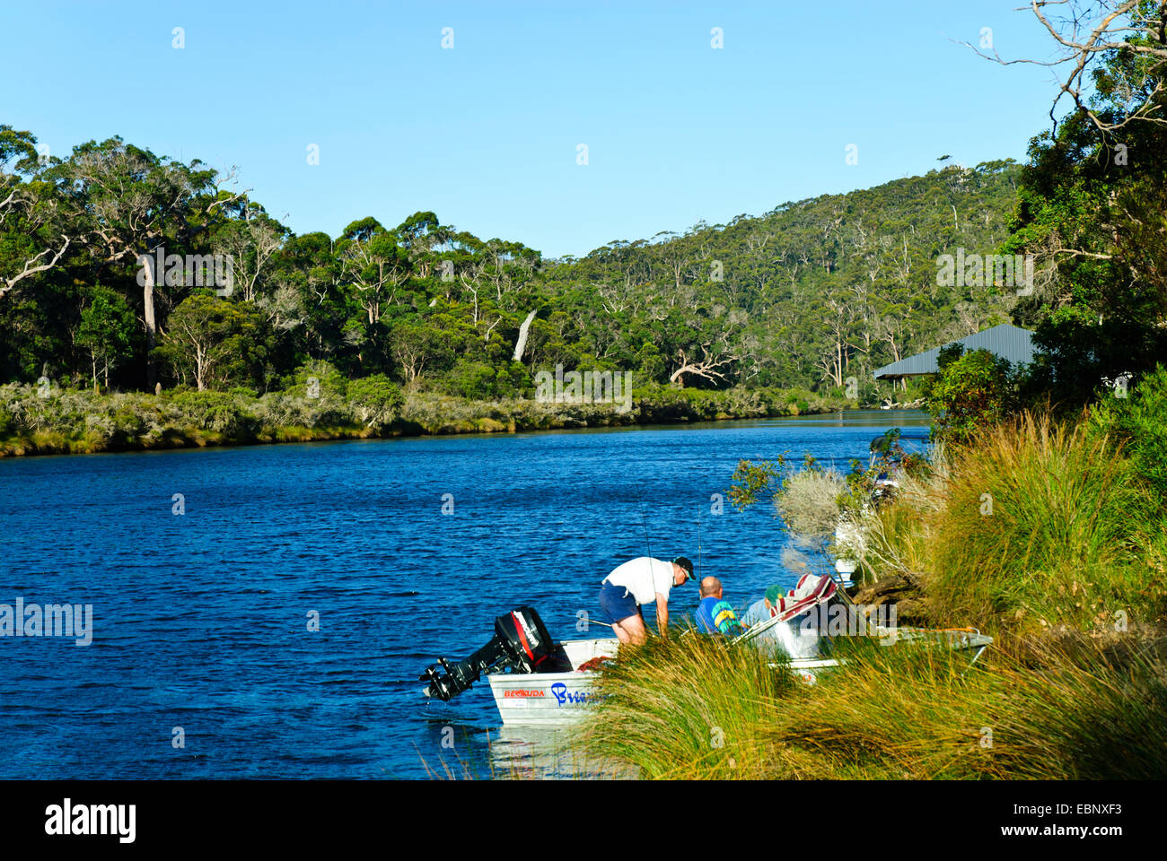 Tingle Trees,Forests,Tingle Tree Top Walk,Southern most tip of