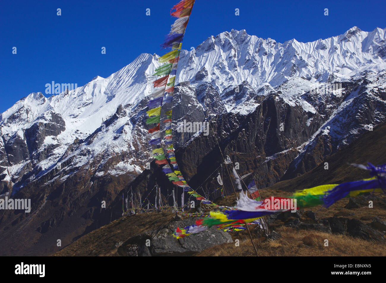 Ponggen Dopku with prayer flags, view from ascension to Ganja La, Nepal, Langtang Himal Stock Photo