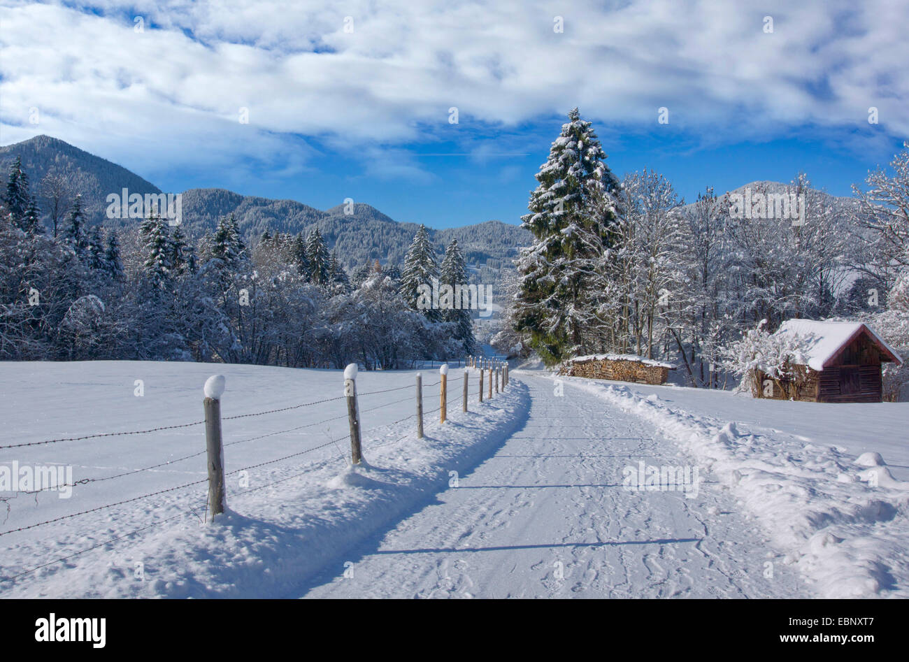 path in snowy scenery , Germany, Bavaria, Oberbayern, Upper Bavaria, Unterammergau Stock Photo