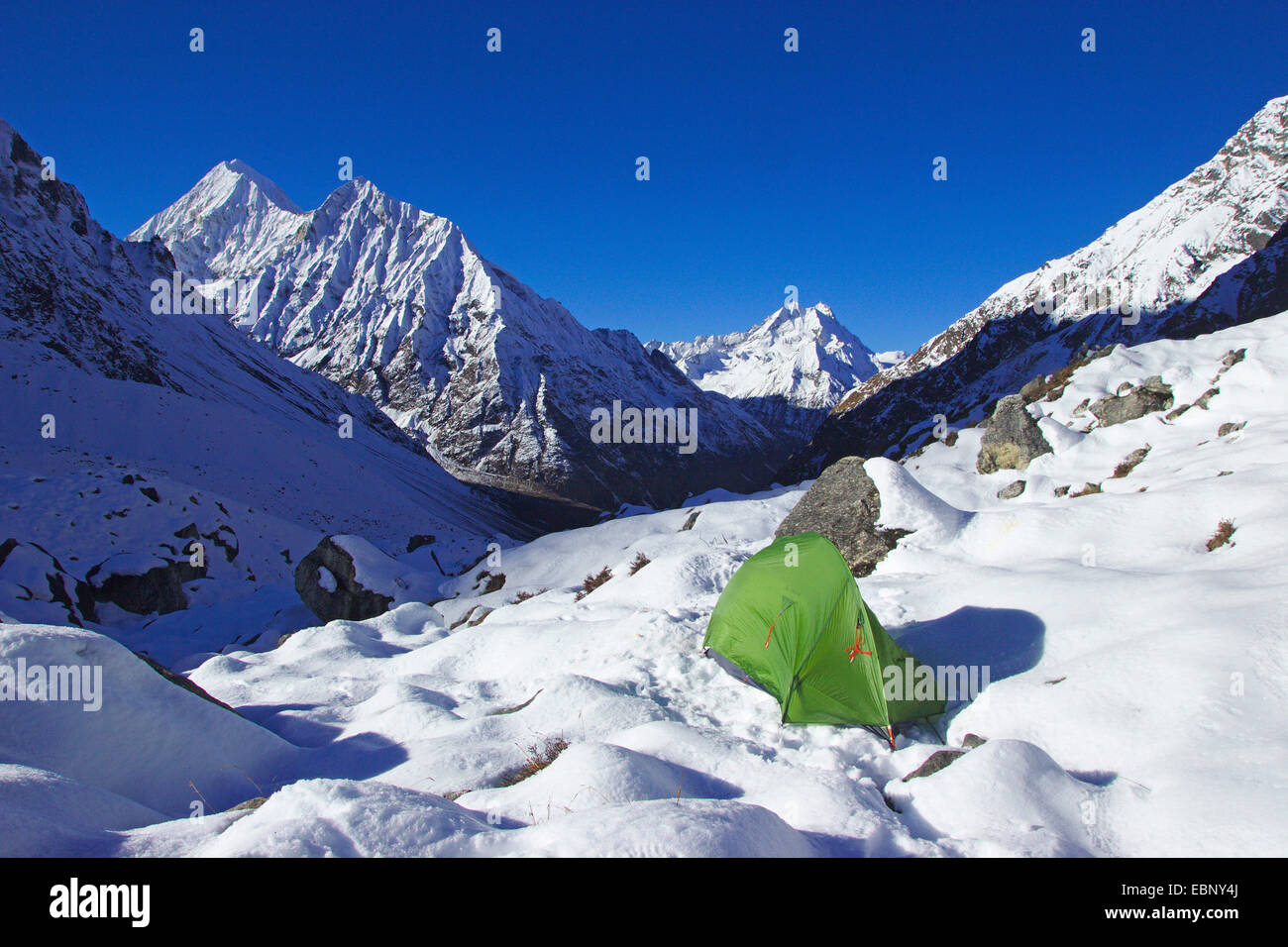 Tent at Moromoto Basecamp with Gangchempo and Ponggen Dopku, Nepal, Langtang Himal Stock Photo