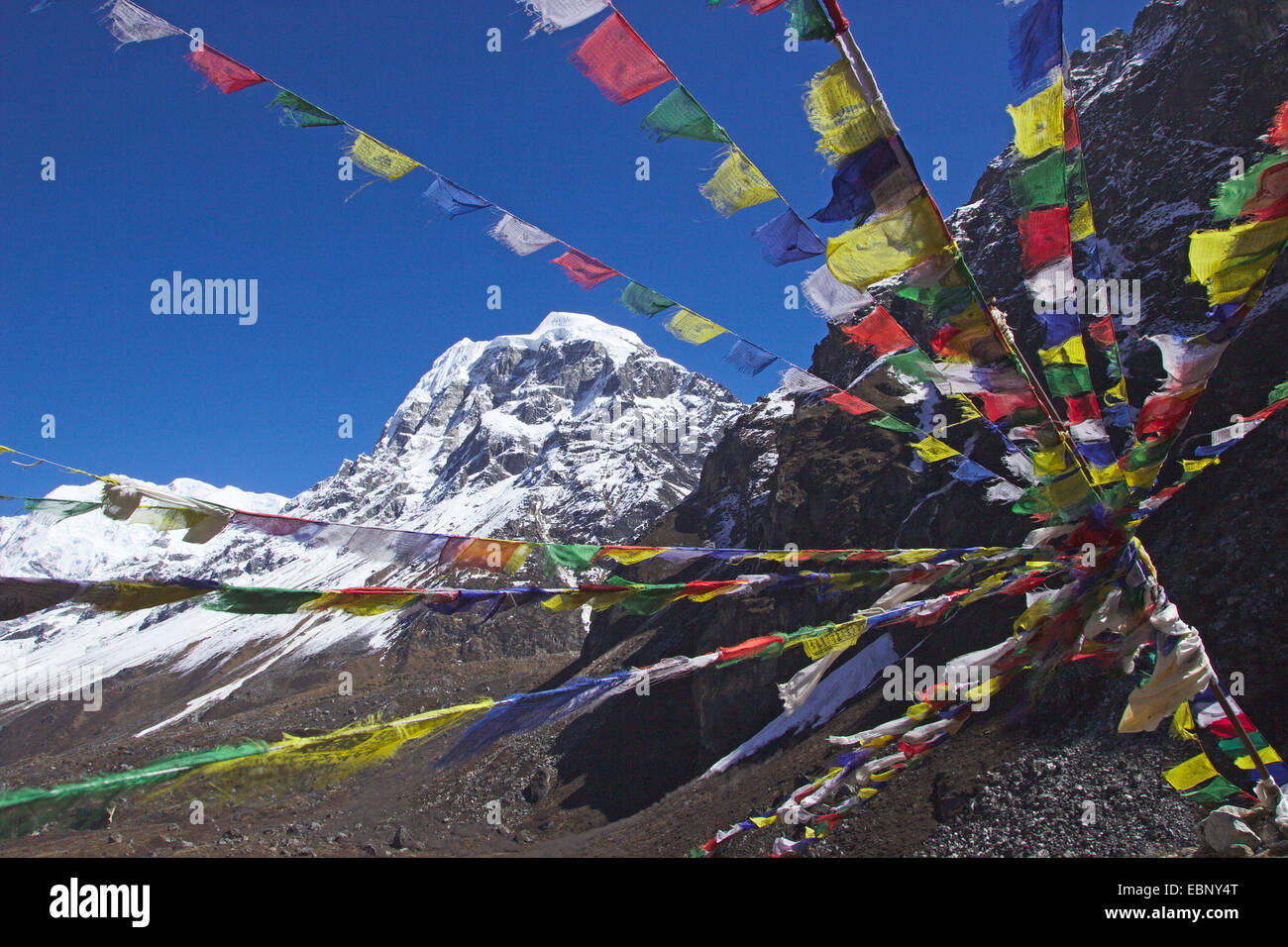 prayer flags with Langshisa Ri, Nepal, Langtang Himal Stock Photo