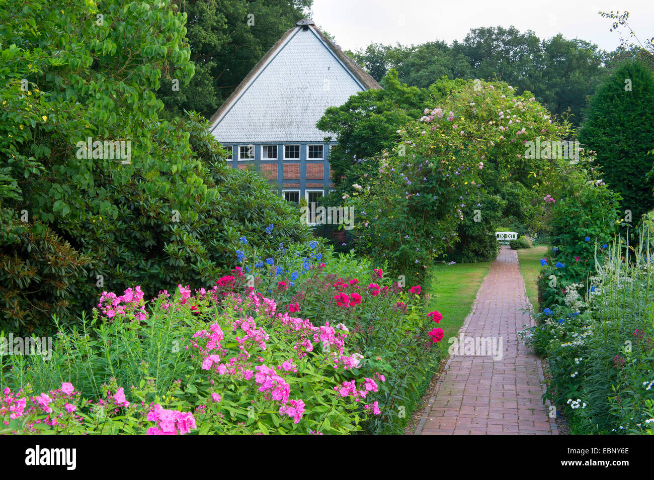 fall phlox, garden phlox (Phlox paniculata), garden with phlox and rose arche, Germany, Lower Saxony Stock Photo