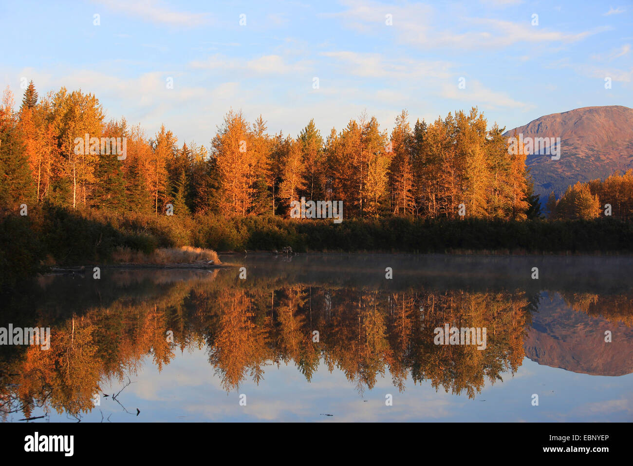 autumn landscape with lake at the Chugach National Forest, USA, Alaska Stock Photo