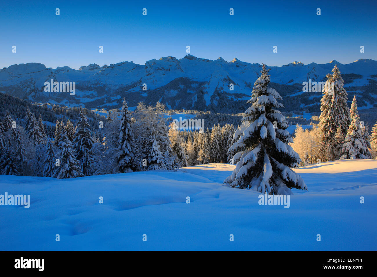 snowy mountain scenery of Central Swiss Alps in morning light, Switzerland Stock Photo