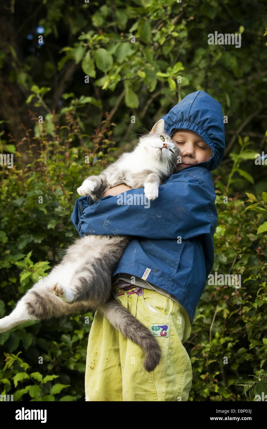 domestic cat, house cat (Felis silvestris f. catus), four year old child carrying a grey tabby cat, Germany, Baden-Wuerttemberg Stock Photo