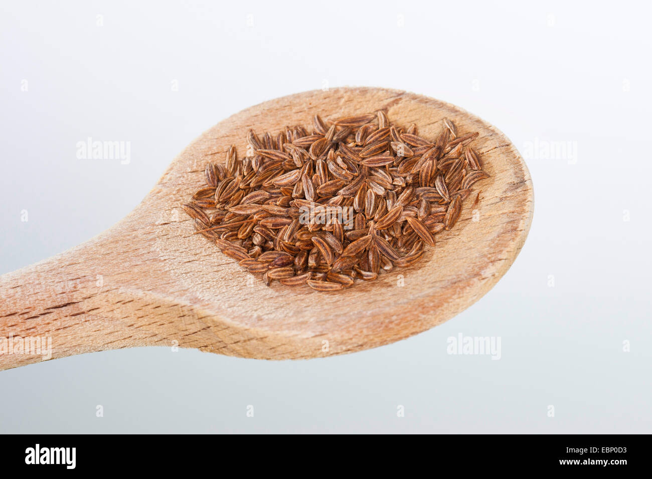common caraway (Carum carvi), kernels on a wooden spoon Stock Photo