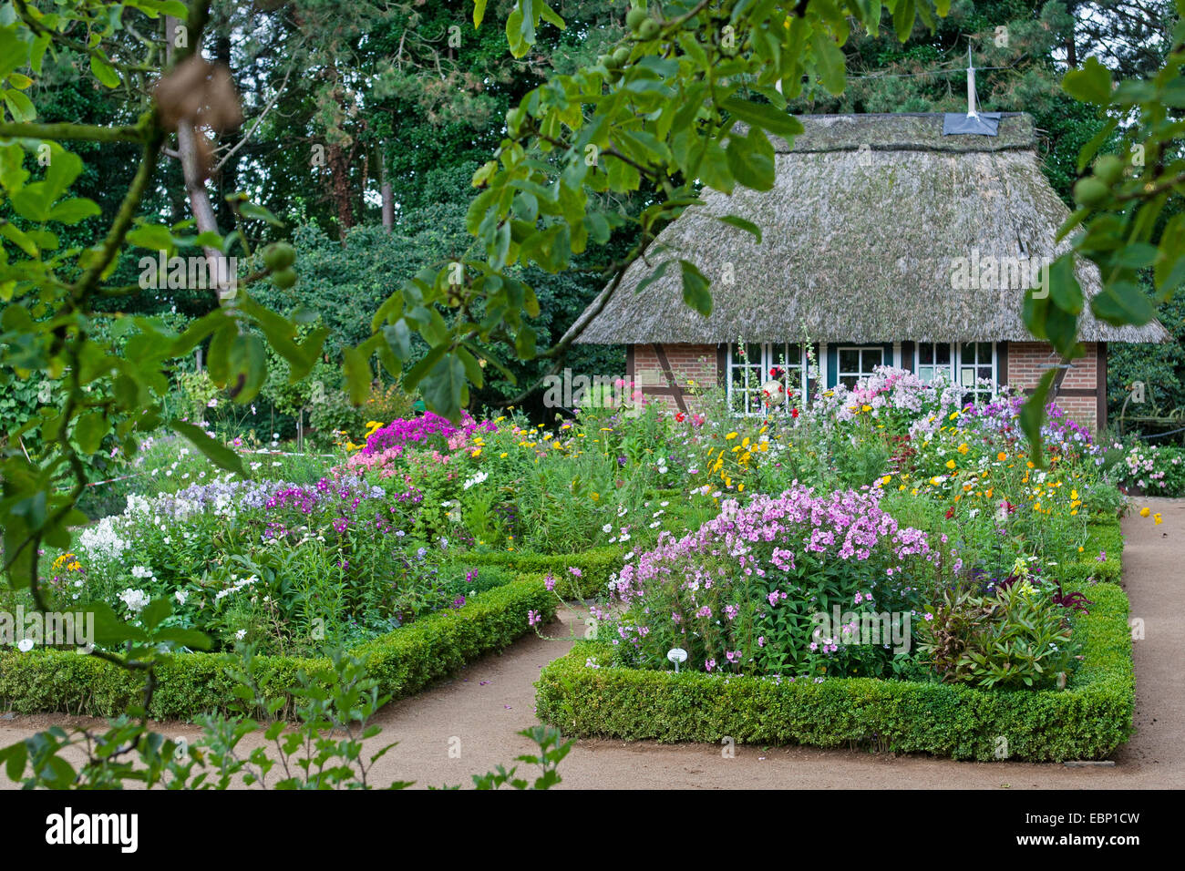 cottage garden in Botanical garden of Hamburg, Germany, Hamburg Stock