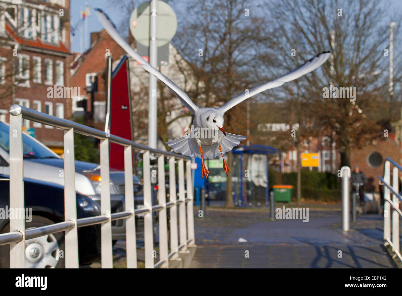 Flying cars in the cities hires stock photography and images Alamy