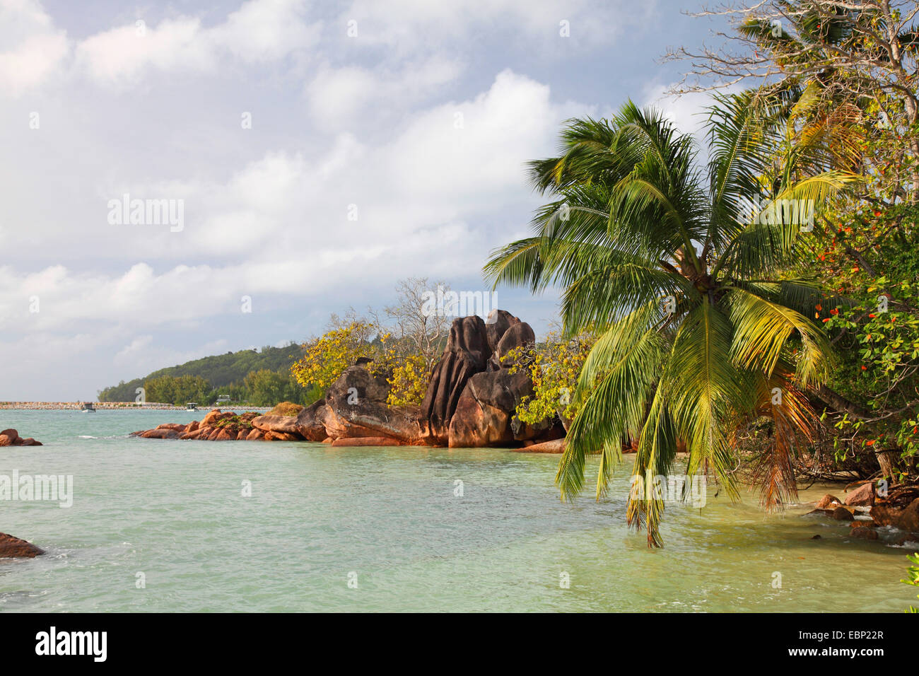 coast of Anse Madge, Seychelles, Praslin Stock Photo