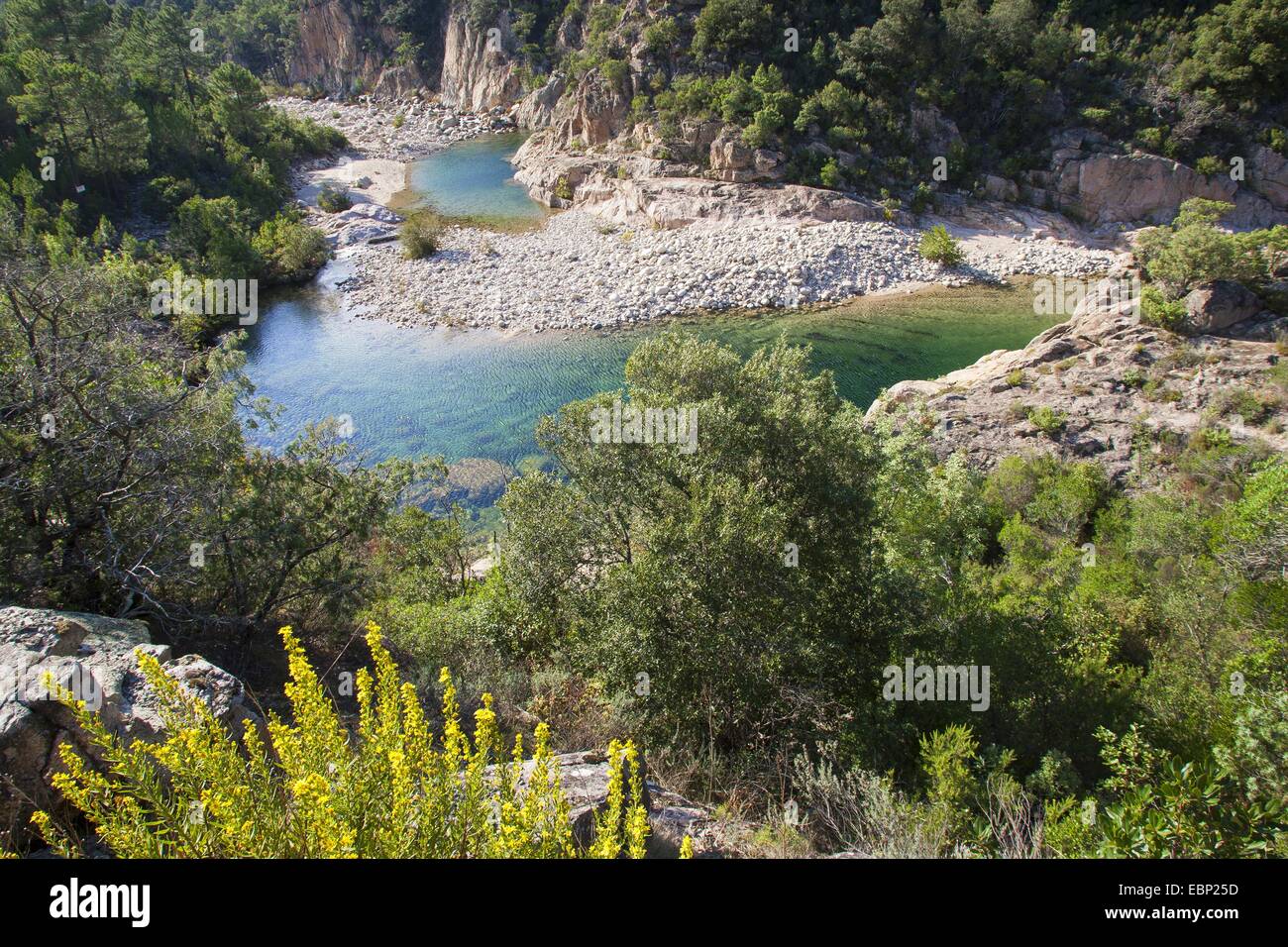 crystal clear mountain creek at Corsica, France, Corsica Stock Photo