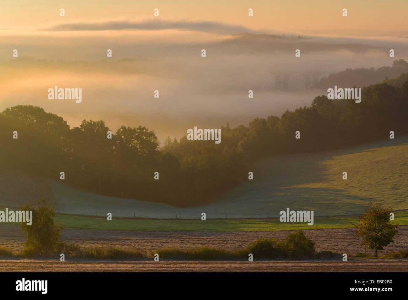 mist in a valley at sunrise, Germany, Saxony, Vogtland, Plauen Stock Photo
