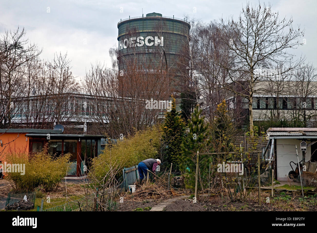 man gardening in allotment garden in front of gasometer and blast furnace Phoenix West, Germany, North Rhine-Westphalia, Ruhr Area, Dortmund Stock Photo