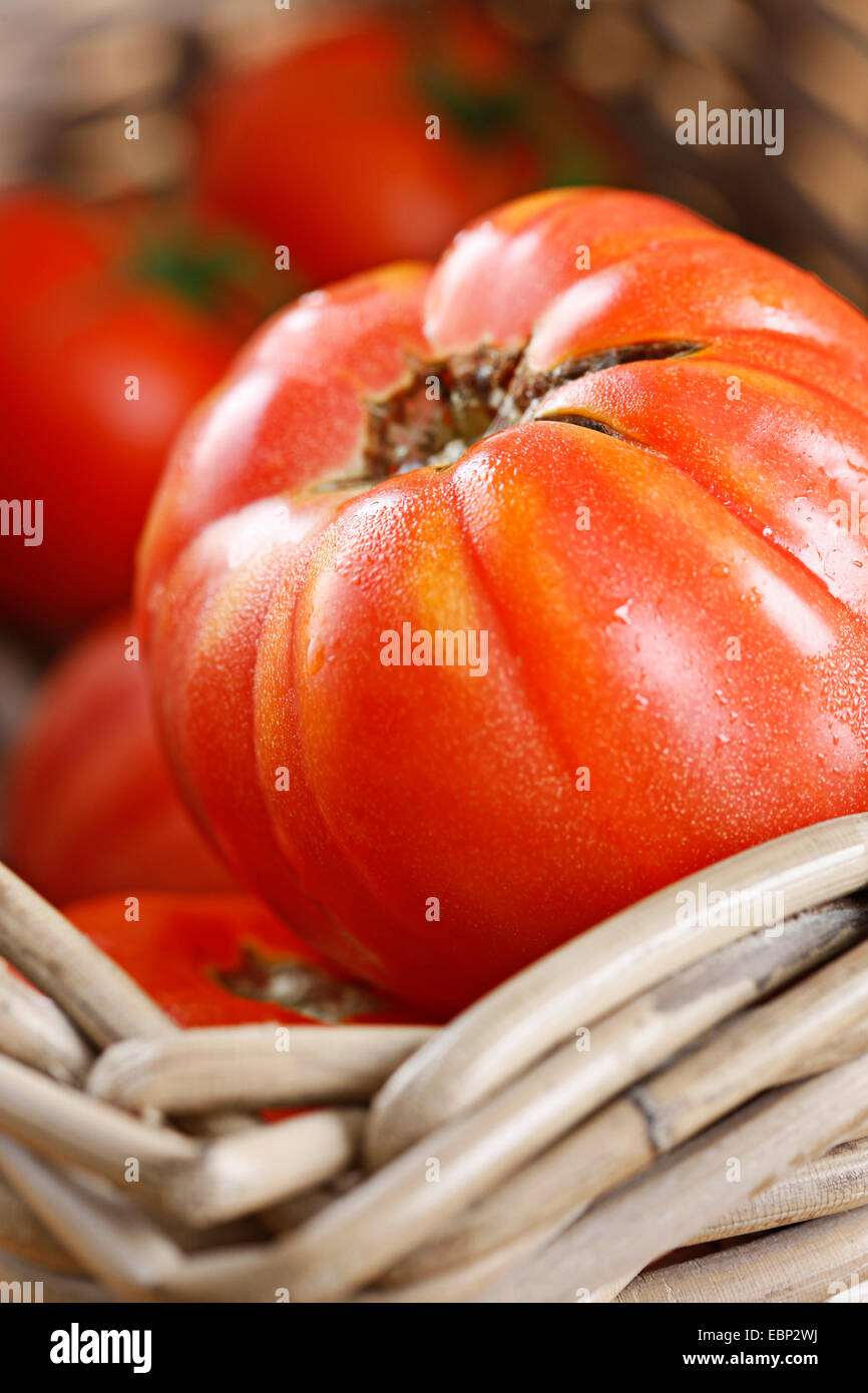 rustic red tomato in a basket Stock Photo