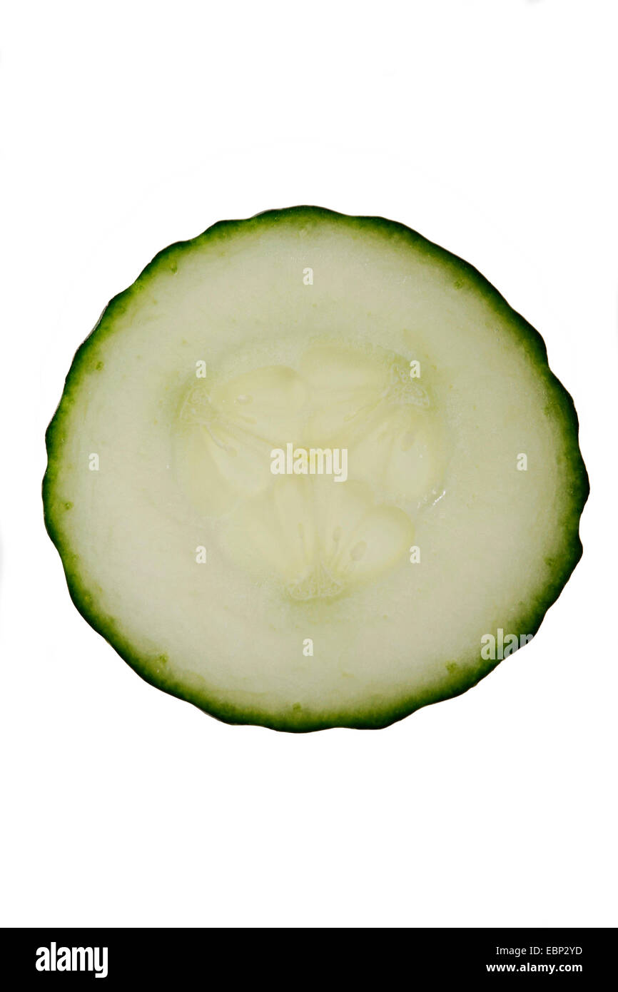 single cucumber Stock Photo