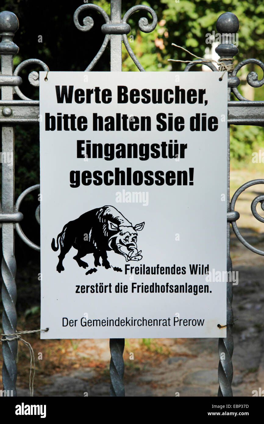 information sign to close the door at the cemetery entrance to avoid damage by wild boars, Germany, Mecklenburg-Western Pomerania, Darss, Prerow Stock Photo