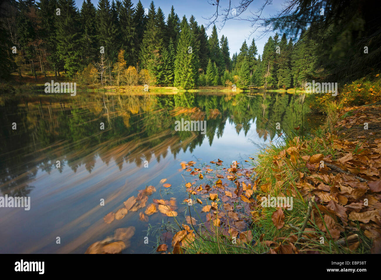 Weisse Elster river in autumn, Germany, Saxony, Vogtland, Triebtal Stock Photo