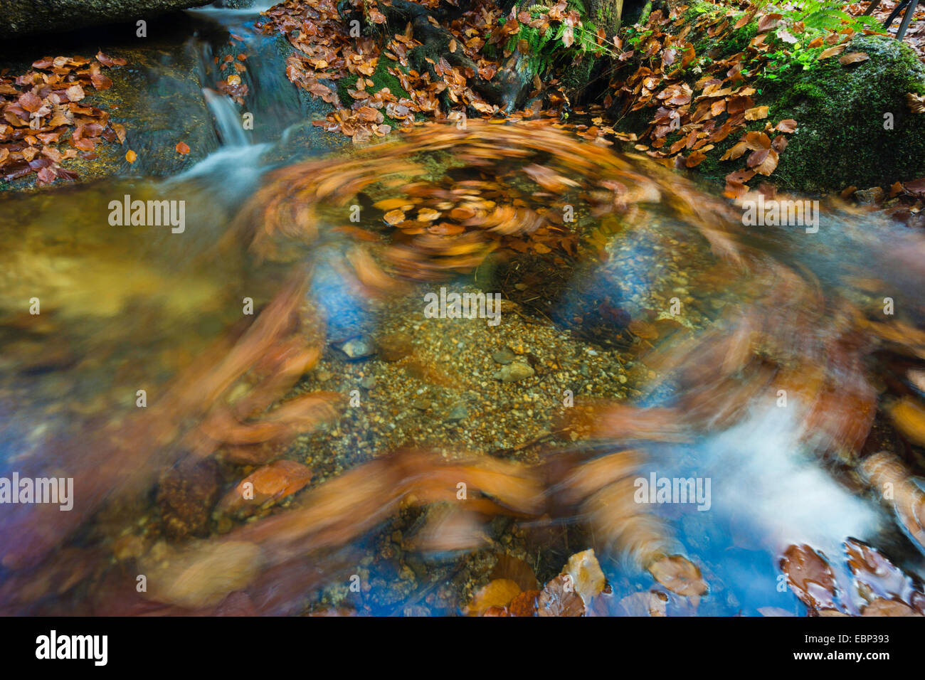 water vortex of Weisse Elster creek in autumn, Germany, Saxony, Vogtland, Triebtal Stock Photo