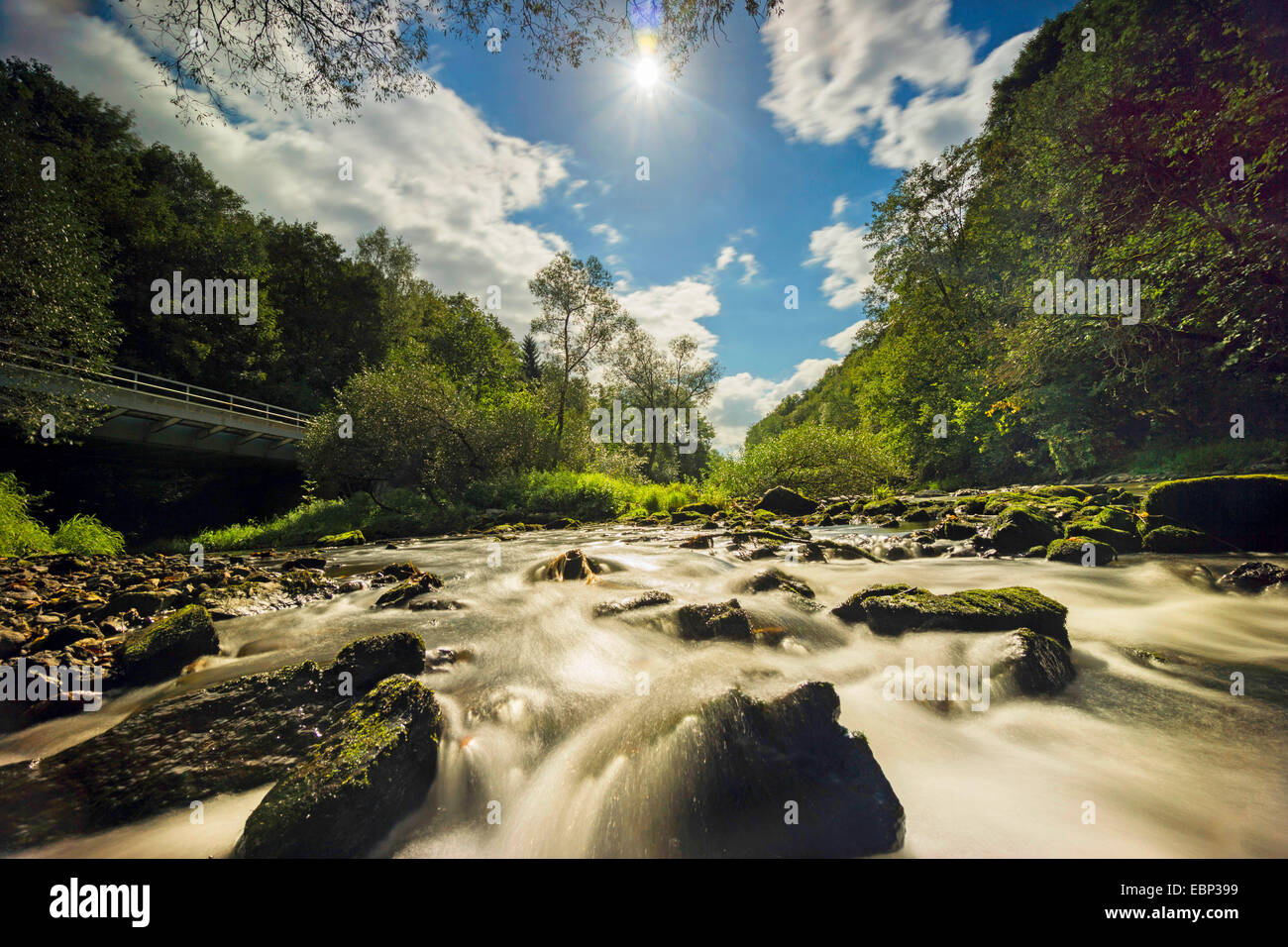 Weisse Elster creek, Germany, Saxony, Triebtal Stock Photo