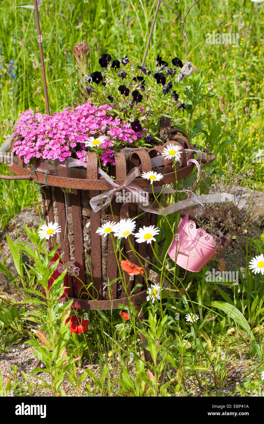 planted fire basket, Germany Stock Photo