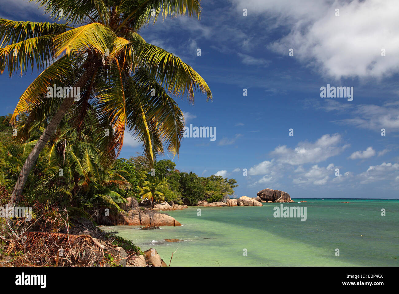 beach Anse Bateau, Seychelles, Praslin Stock Photo