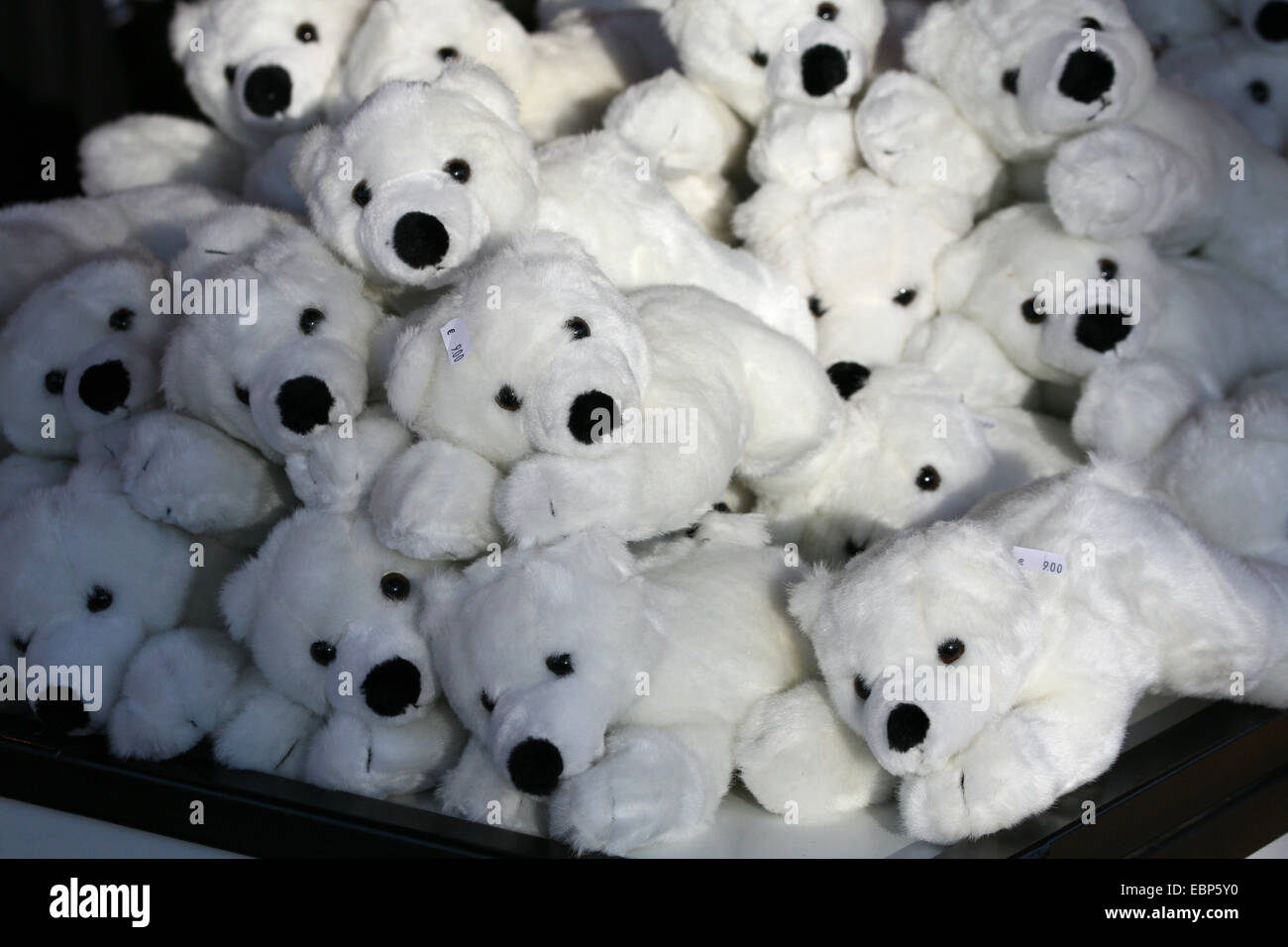 Plush toys depicted famous Knut the Polar Bear in a souvenir shop at Berlin Zoo, Germany. Stock Photo