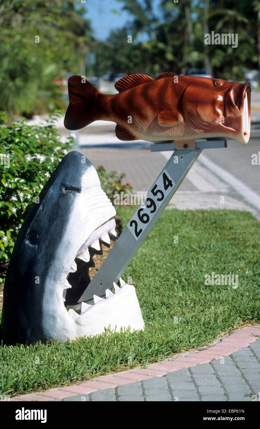 original mail representing a shark trying to catch a small fish, USA, Florida Stock Photo