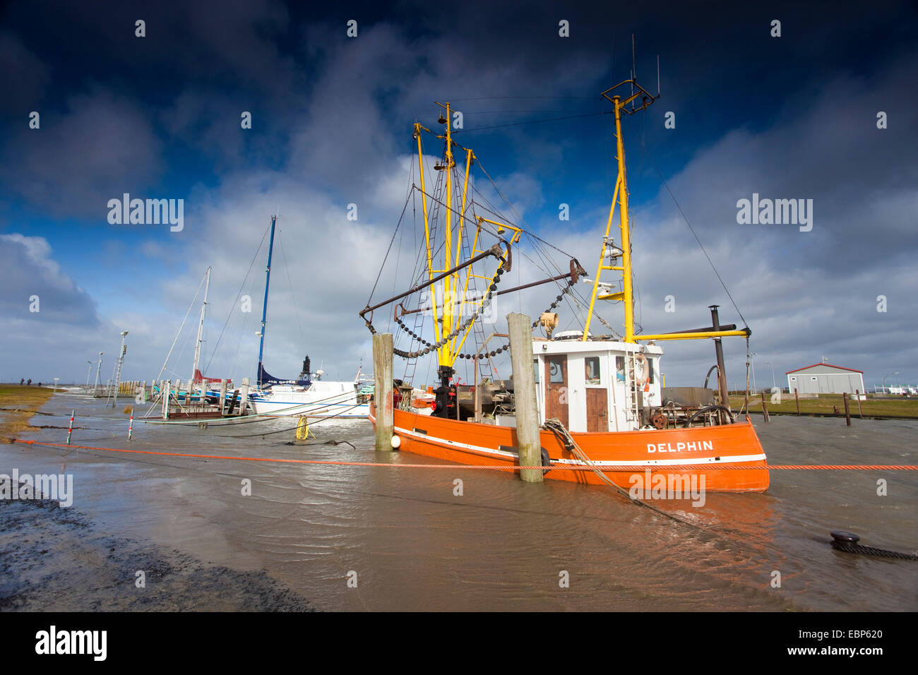 fishing cutters and yachts in the harbour, Germany, Lower Saxony, Dorum-Neufeld Stock Photo